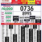 rajshree lottery sambad 8pm